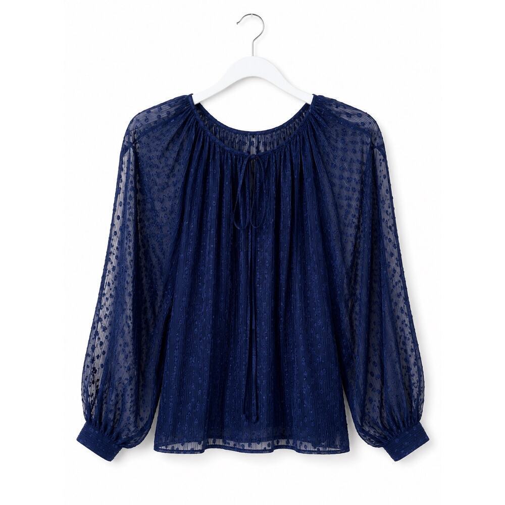 Walter Baker Navy Sheer Swiss Dot Blouse Womens XS Boho Balloon Sleeve Top - Picture 2 of 9